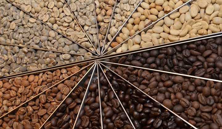 Na świecie spożywa się tylko dwa z sześćdziesięciu rodzajów kawy