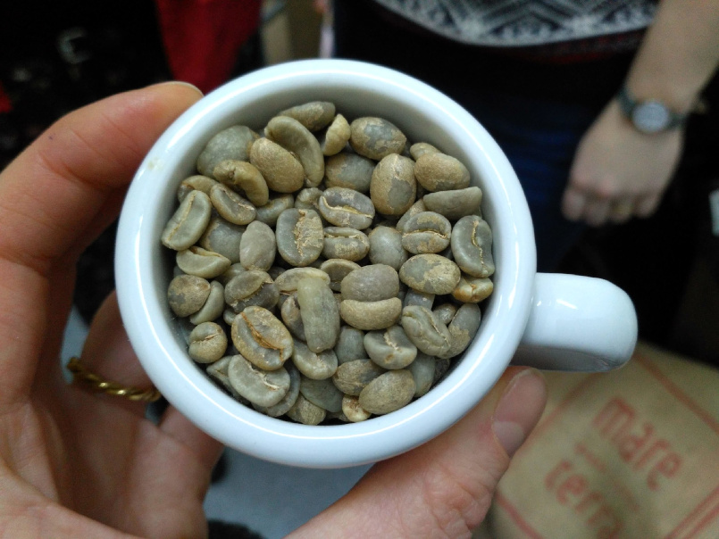 Degustacja kawy w palarni Blue Drop w Łodzi