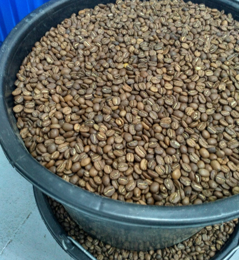 Palarnia kawy Blue Drop Coffee Roasters w Łodzi