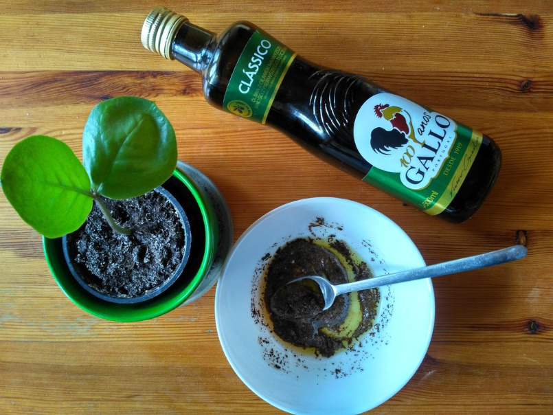 Kosmetyki z kawy, kt&oacute;re możesz zrobić w domu