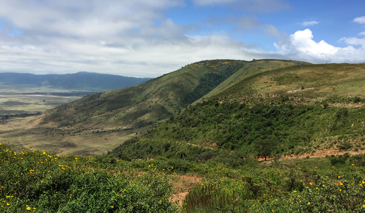 Kawa prosto z Tanzanii