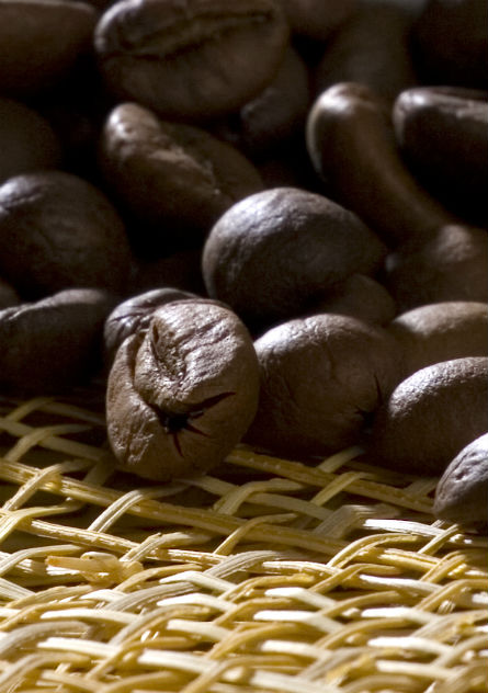 Jemeńskie kawy &ndash; przysmak dla kawoszy