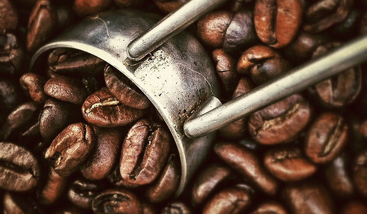 Blue Mountain nie tylko z Jamajki