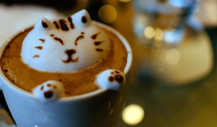 Kocia kawiarnia, czyli japoński sposób na spędzanie wolnego czasu