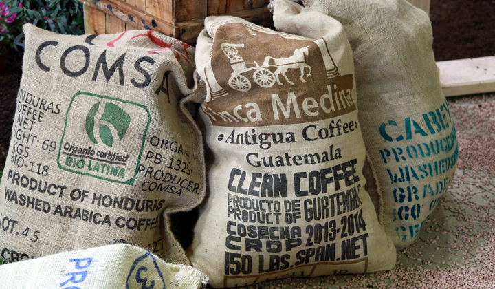 Pakowanie kawy w procesie produkcyjnym