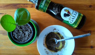 Dobra filiżanka kawy jest dla wielu osób jedyną rzeczą, która sprawia, że budzą się rano.  Ale to nie koniec wspaniałych właściwości kawy! Twoja ulubiona mała czarna zadba także o Twoją skórę, aby wyglądała jaśniej, świeżo i bardziej witalnie. W drogeriach dostępnych jest wiele kremów i kosmetyków, które wykorzystują kofeinę jako kluczowy składnik swojej formuły. Jednak nie musisz ich używać, aby cieszyć się wieloma korzyściami kawy dla skóry. Zamiast drogeryjnych kosmetyków na bazie kofeiny, w domowym zaciszu możesz łatwo i szybko zrobić własne! W tym artykule przedstawiamy kilka receptur na maski i kremy z wykorzystaniem kofeiny.