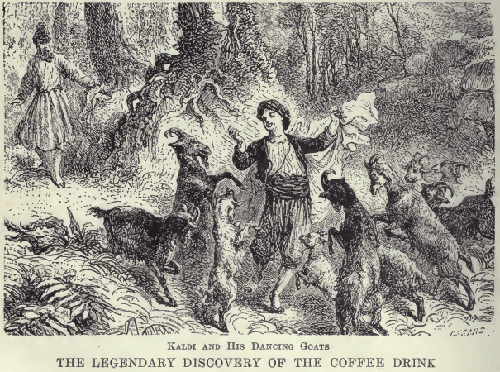 Historia kawy, początki i światowa ekspansja