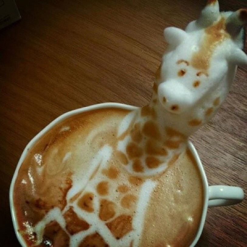 Pianka 3D - Żyrafa.