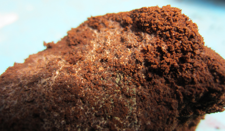 Ochratoksyna w kawie