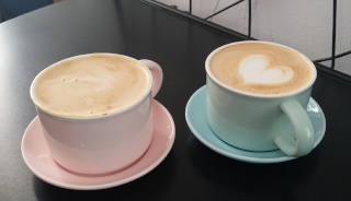 Porównanie kaw - robusta i arabika