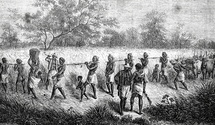 Początki kawy w Europie