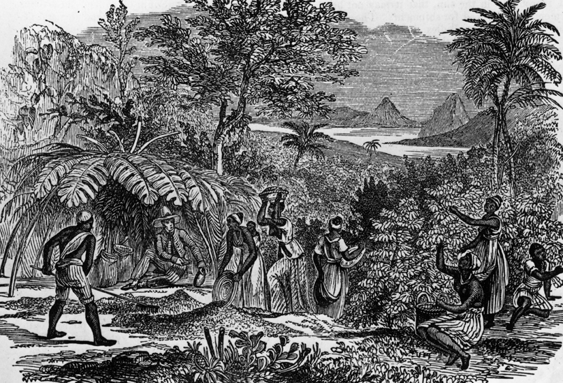 Historia kawy, początki i światowa ekspansja